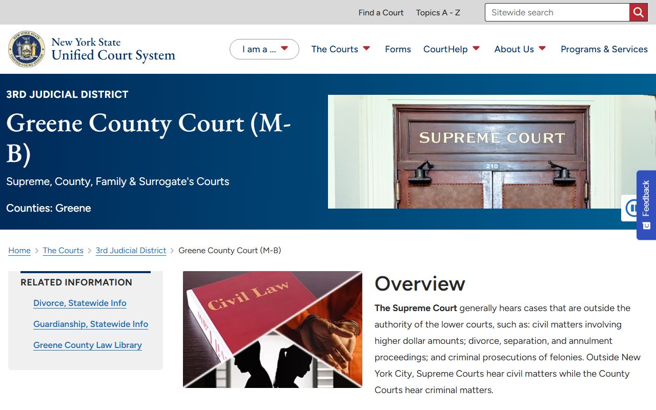 Greene County Court page for court records after a jail arrest