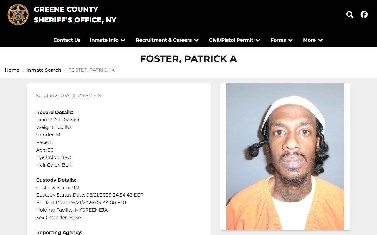 Greene County inmate records sample profile with booking photo and charges